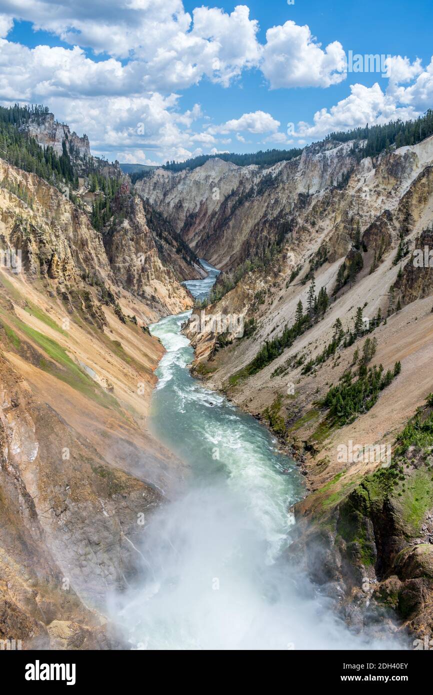 Der berühmte Grand Canyon im Yellowstone in Wyoming Stockfoto