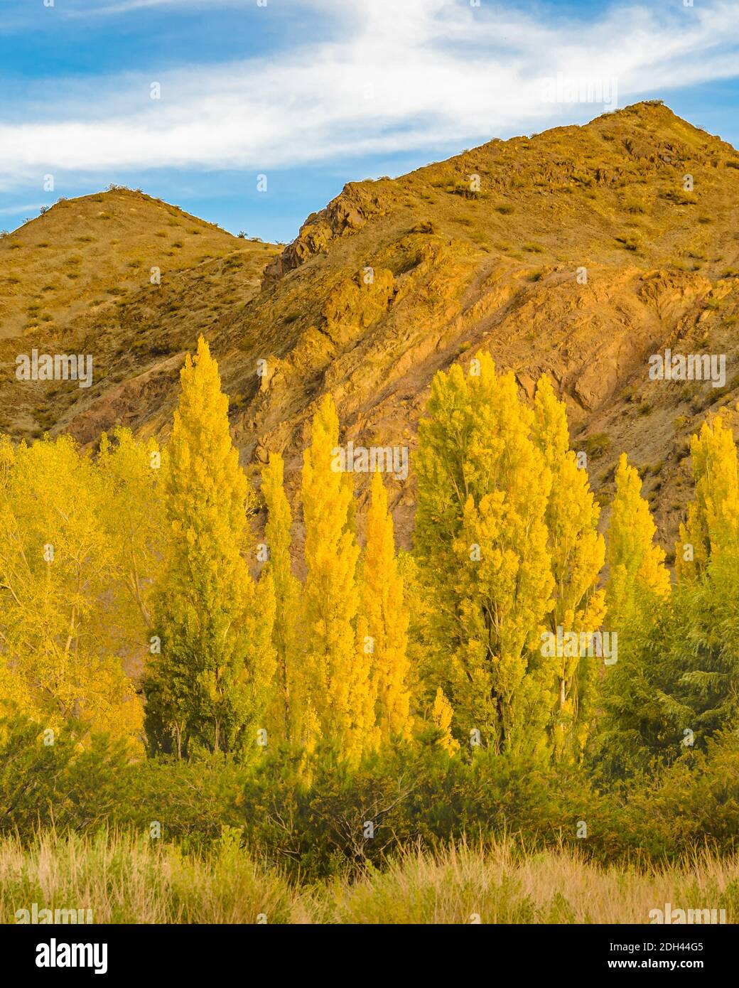 Nationalpark El Leoncito, Provinz San Juan, Argentinien Stockfoto