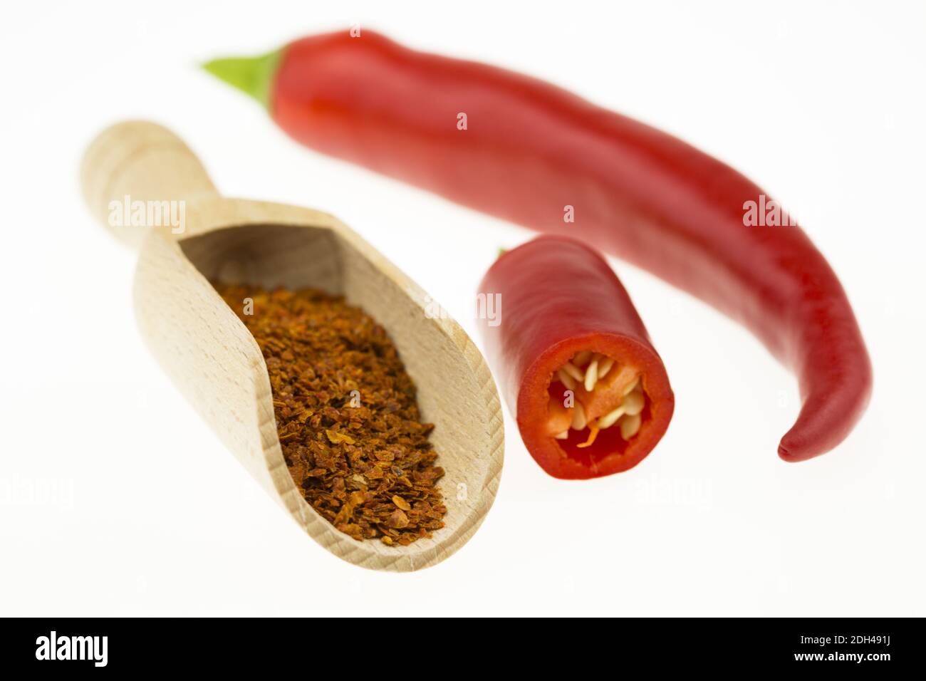 Chilischote, Capsicum annuum Stockfoto