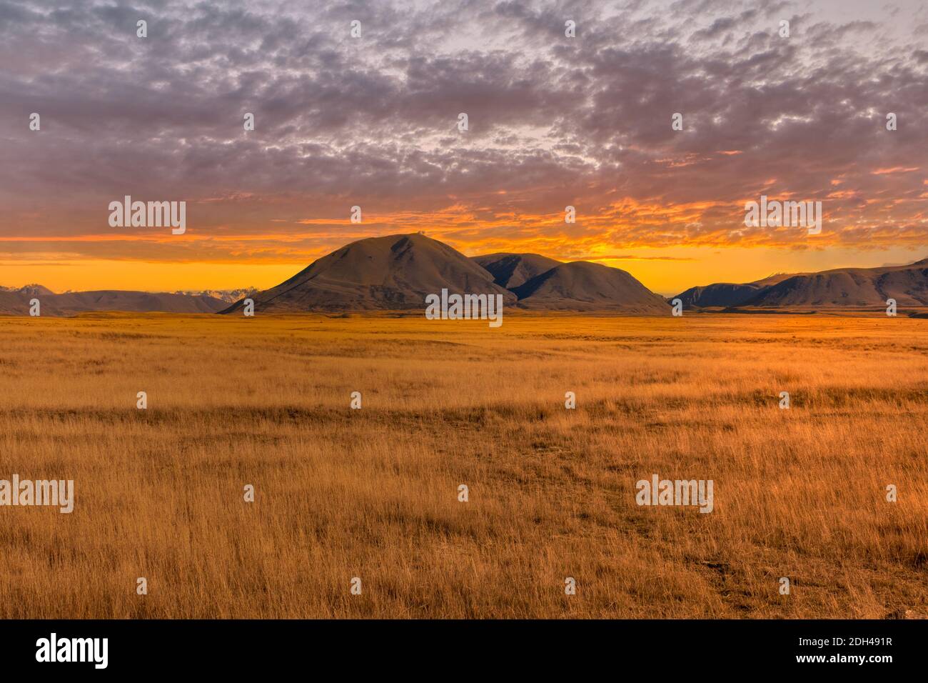 Die Berge und trockenen Zwickel bedeckt Talboden bei Hakatere Naturschutzpark in den Ashburton Highlands unter einem lebhaften Sonnenuntergang Himmel Stockfoto