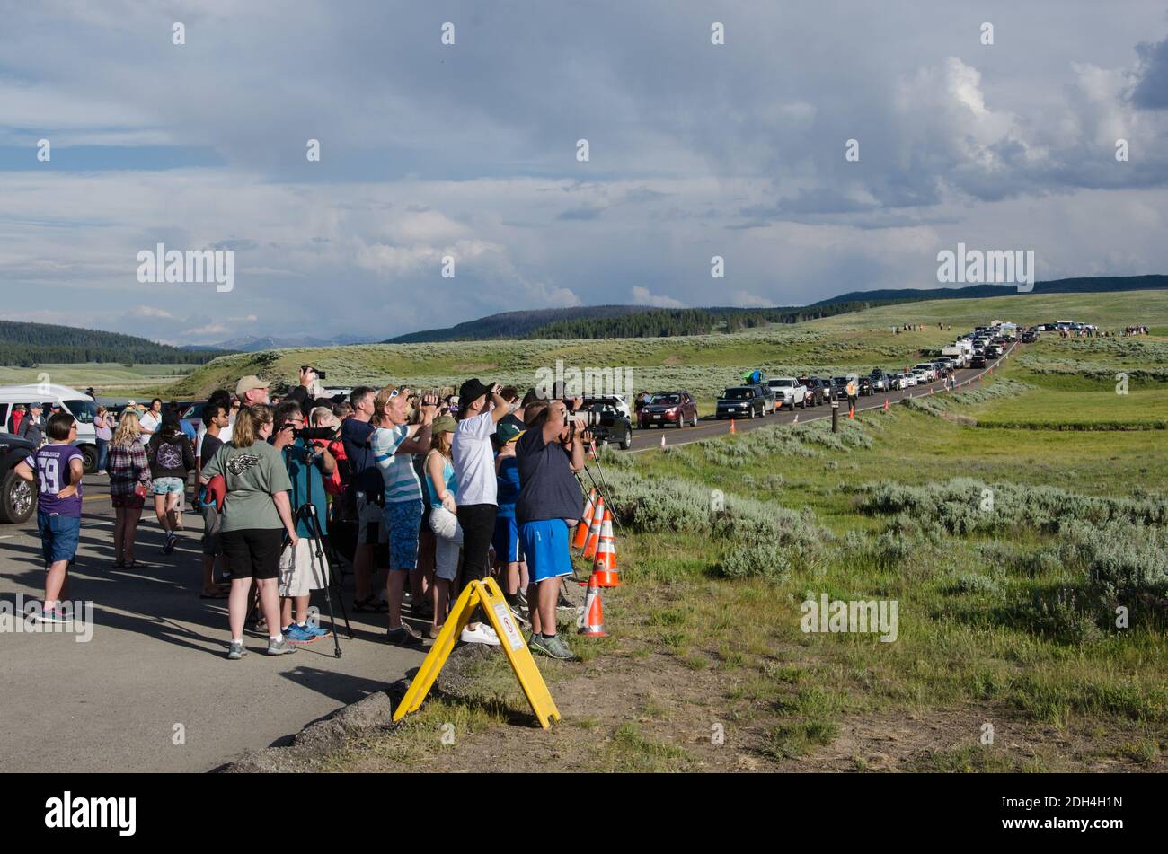 Eine lange Reihe von Autos wieder auf einem Bärenstau in Hayden Valley, Yellowstone National Park, USA Stockfoto