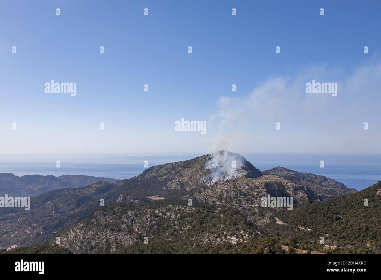 Waldbrand Stockfoto