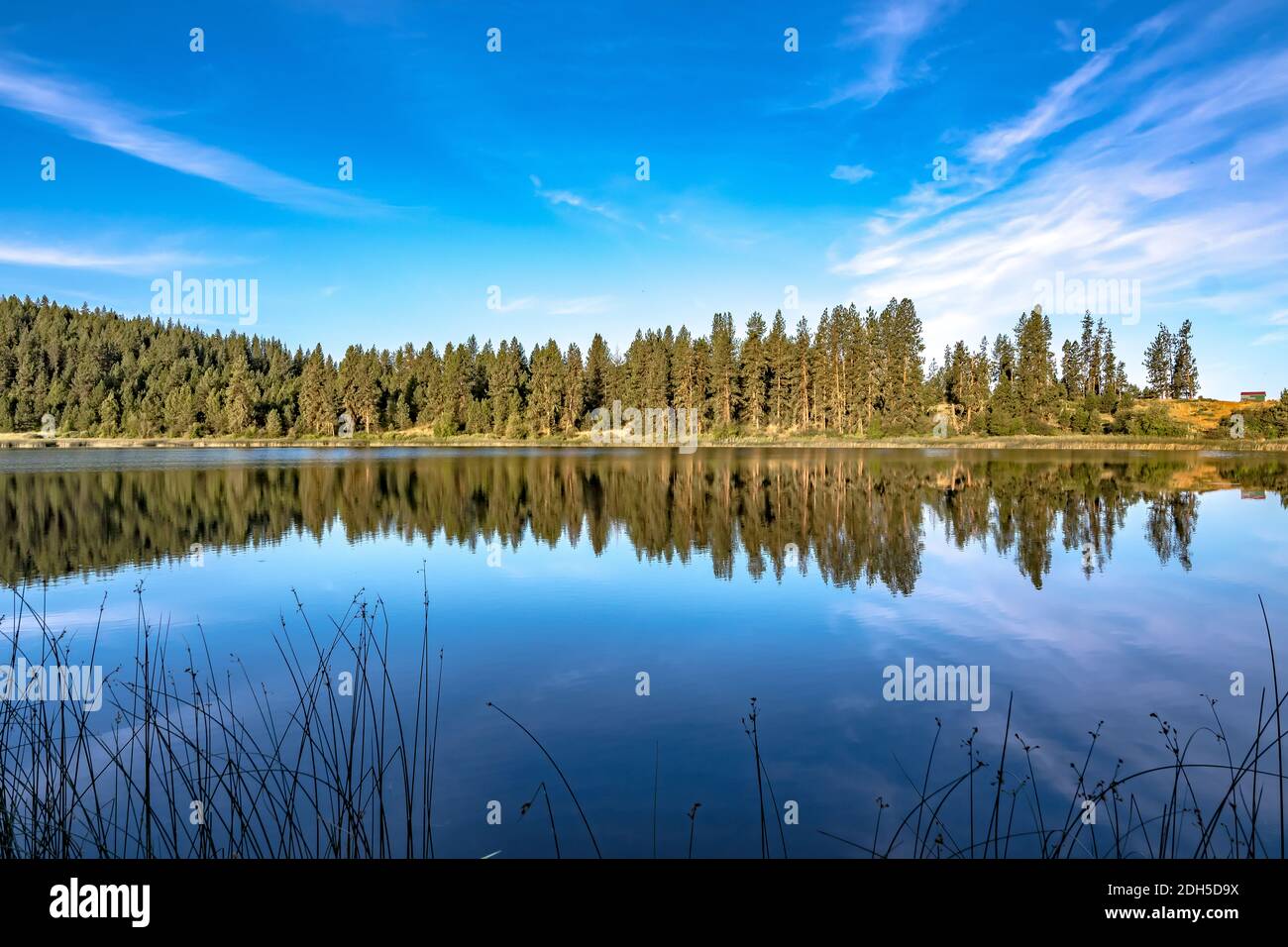 Naturreflexionen am Wildnissee im bundesstaat washington Stockfoto