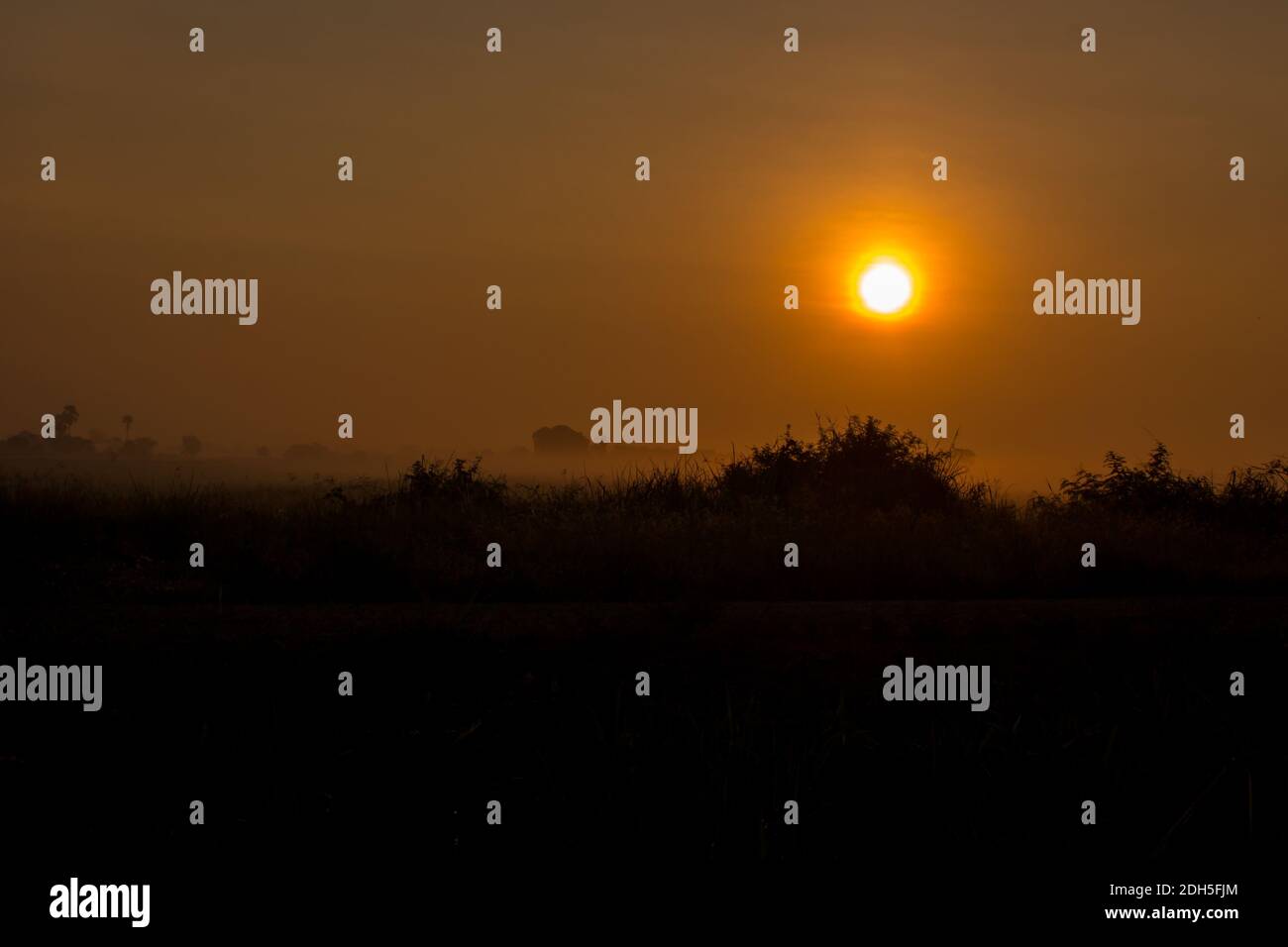 Sonnenaufgang über dem Morgen mit Nebel, Copy Space Stockfoto