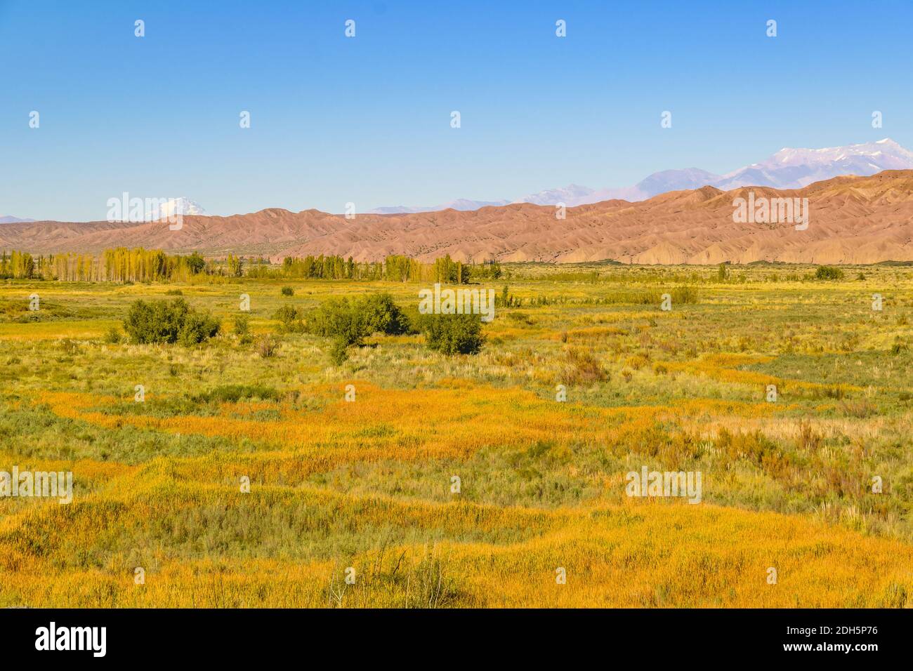 Landschaft, Provinz San Juan, Argentinien Stockfoto