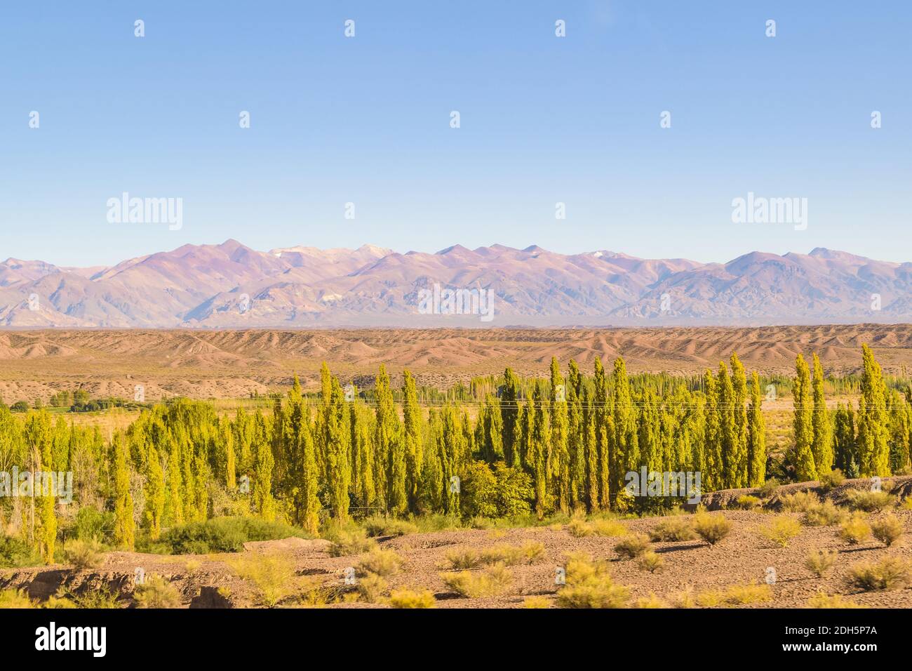 Landschaft, Provinz San Juan, Argentinien Stockfoto