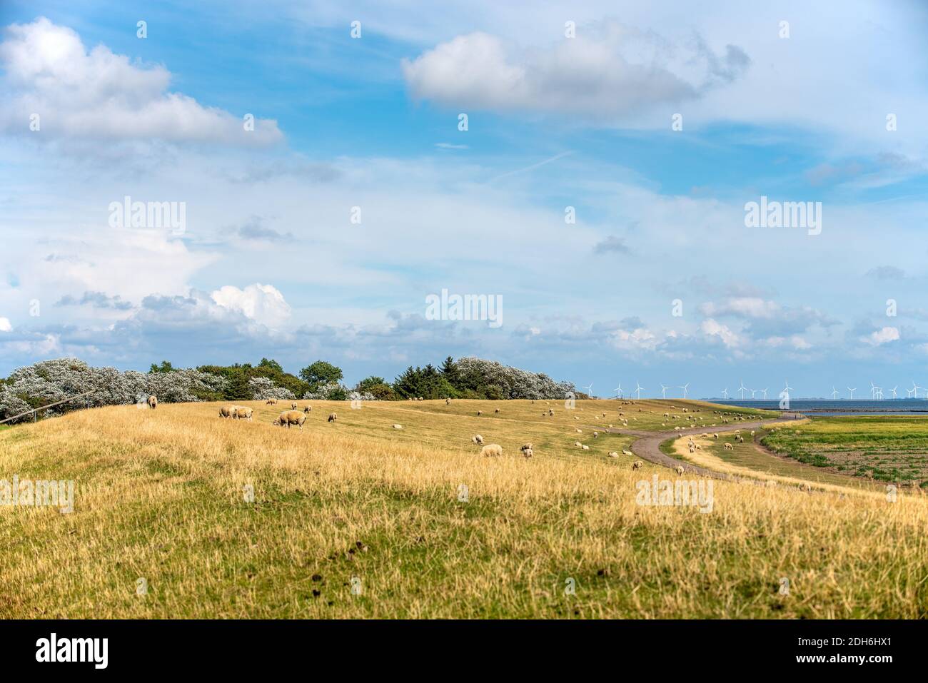 Deichskrone Stockfoto