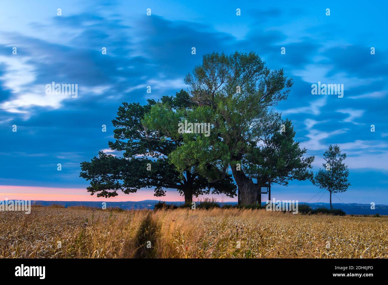 Babisnau Stockfotos Und Bilder Kaufen Alamy