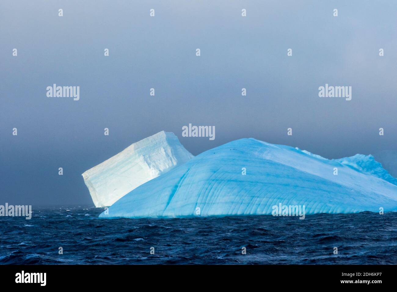 Eisbergslandschaft im Südatlantik, Antarktis Stockfoto