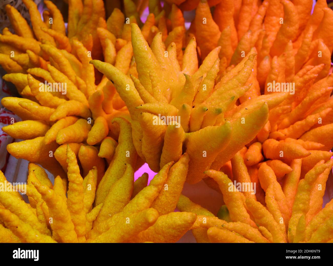 Frisch gefingerte Zitrone am Stand zum Verkauf unter Orange Leicht Stockfoto