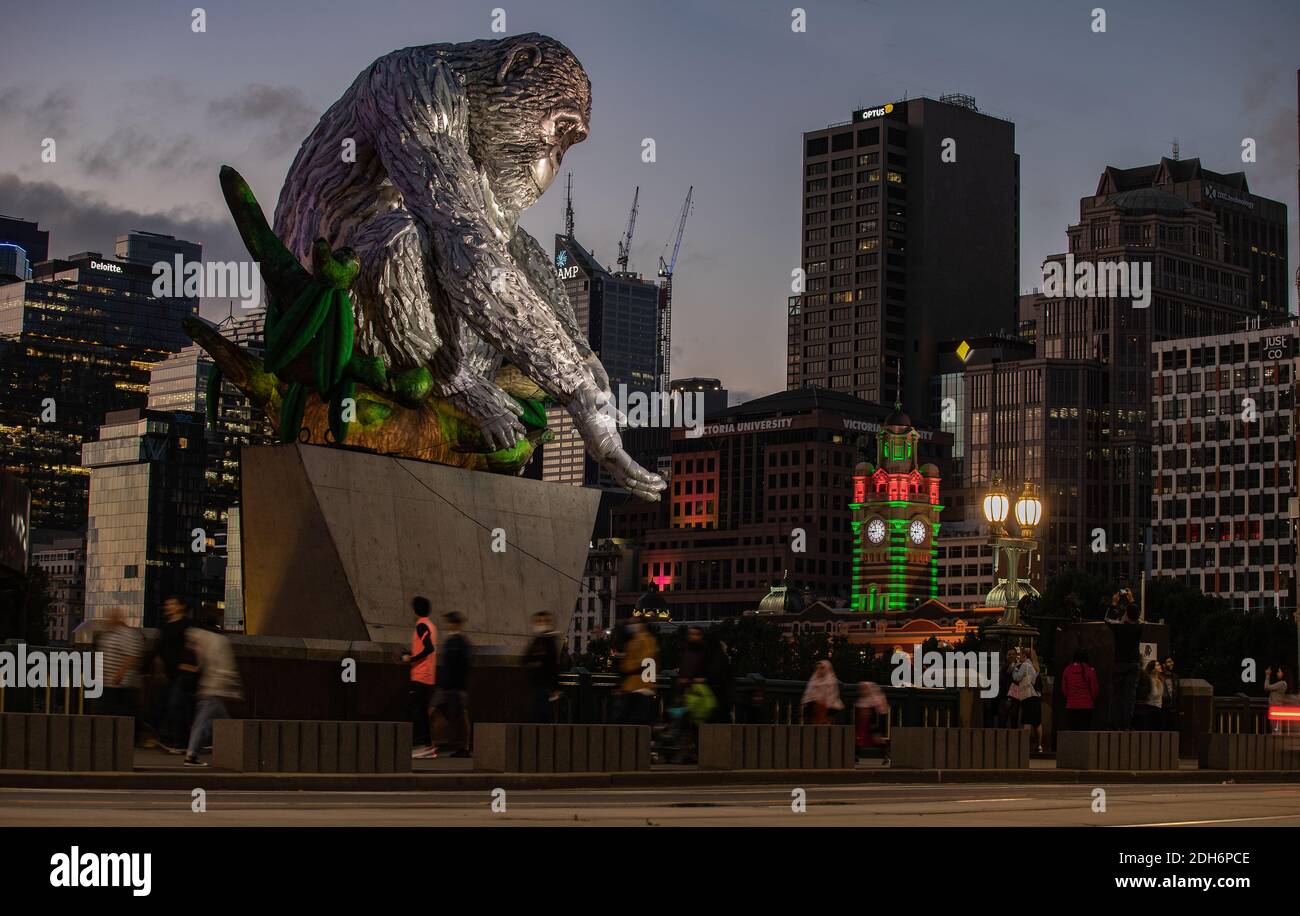 Melbourne Australien: David Greybeard Kunstinstallation der Künstlerin Lisa Roet sitzt in der Dämmerung auf der Princes Bridge Melbourne. Stockfoto