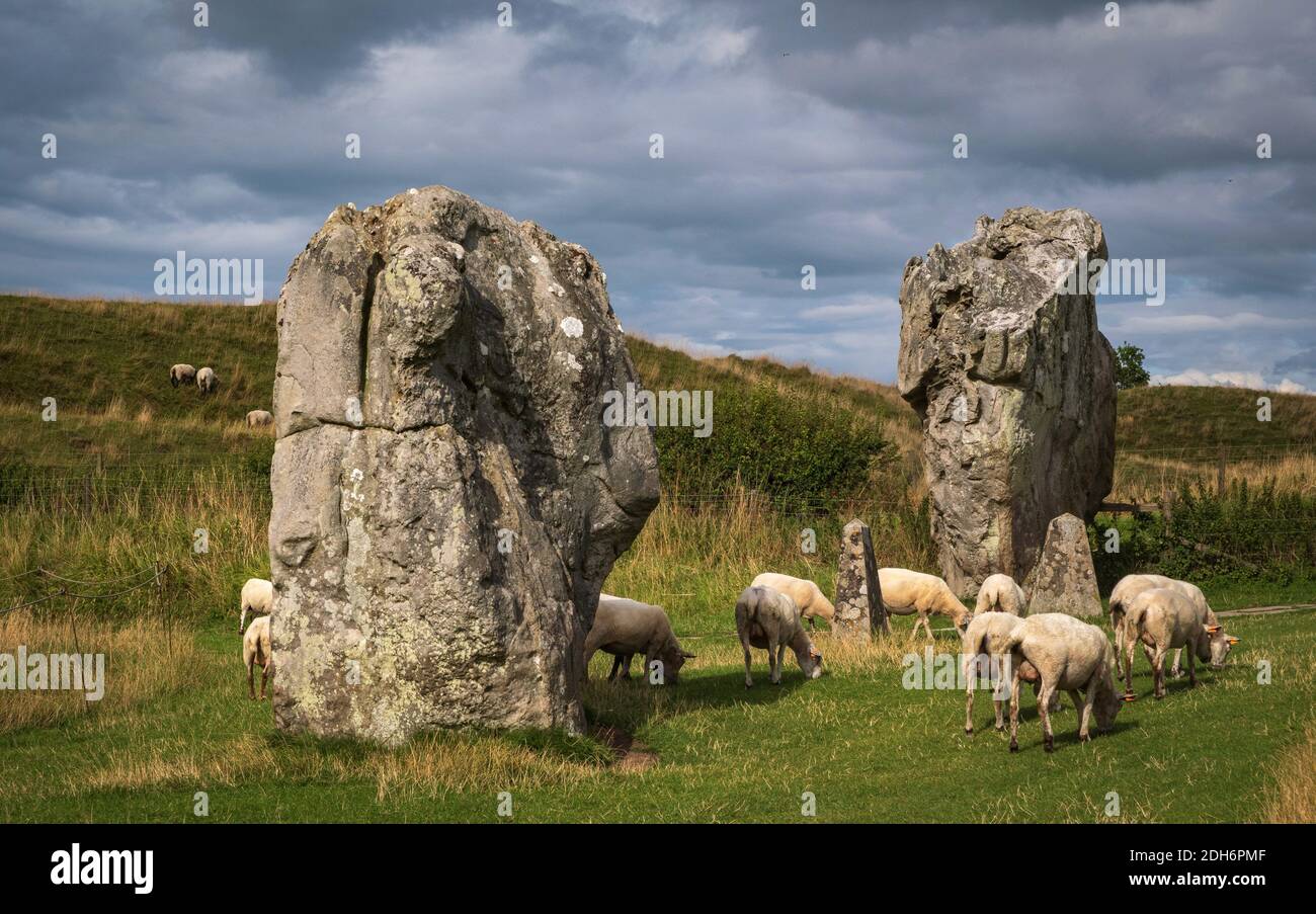 Beeindruckende stehende Steine aus dem historischen Kreis in Avebury Wiltshire. Schafe können zwischen den massiven Felsen grasen gesehen werden. Stockfoto
