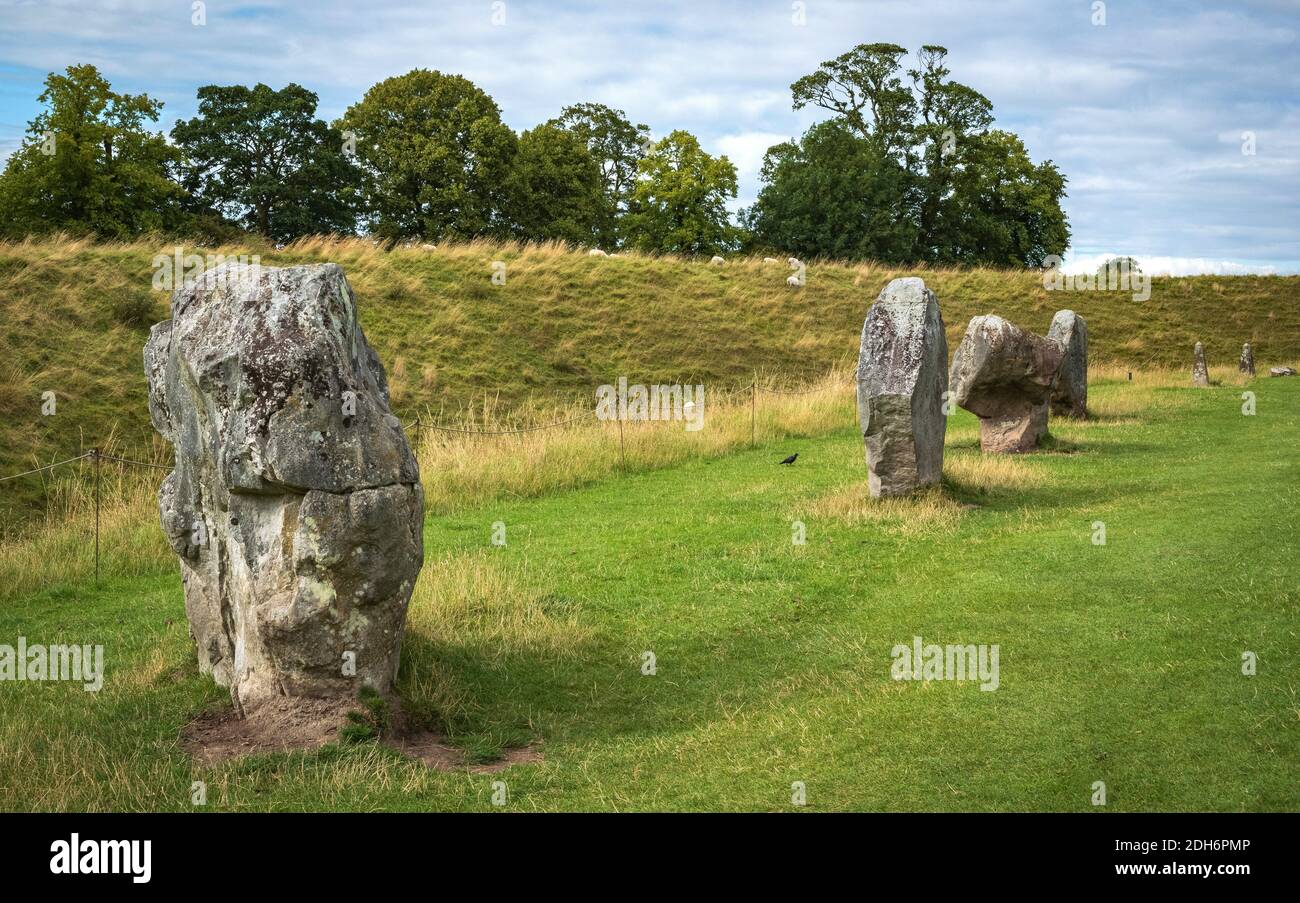Beeindruckende stehende Steine aus dem historischen Kreis in Avebury Wiltshire. Schafe können zwischen den massiven Felsen grasen gesehen werden. Stockfoto
