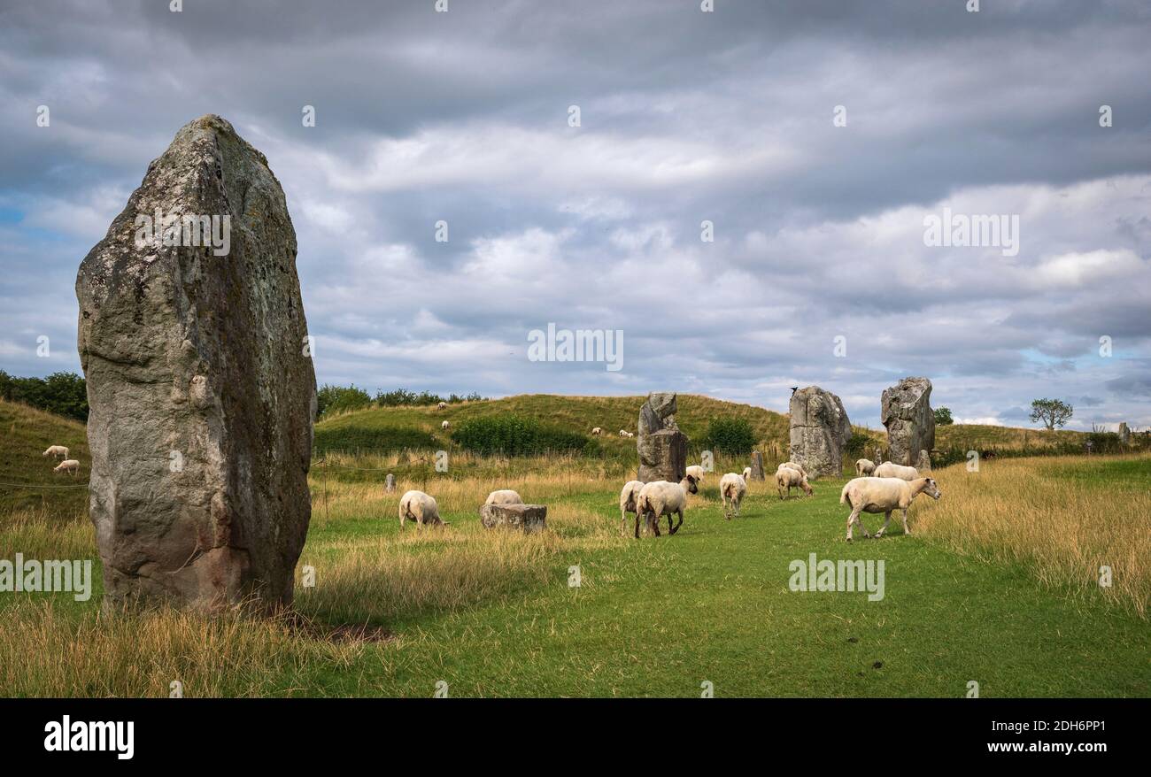 Beeindruckende stehende Steine aus dem historischen Kreis in Avebury Wiltshire. Schafe können zwischen den massiven Felsen grasen gesehen werden. Stockfoto