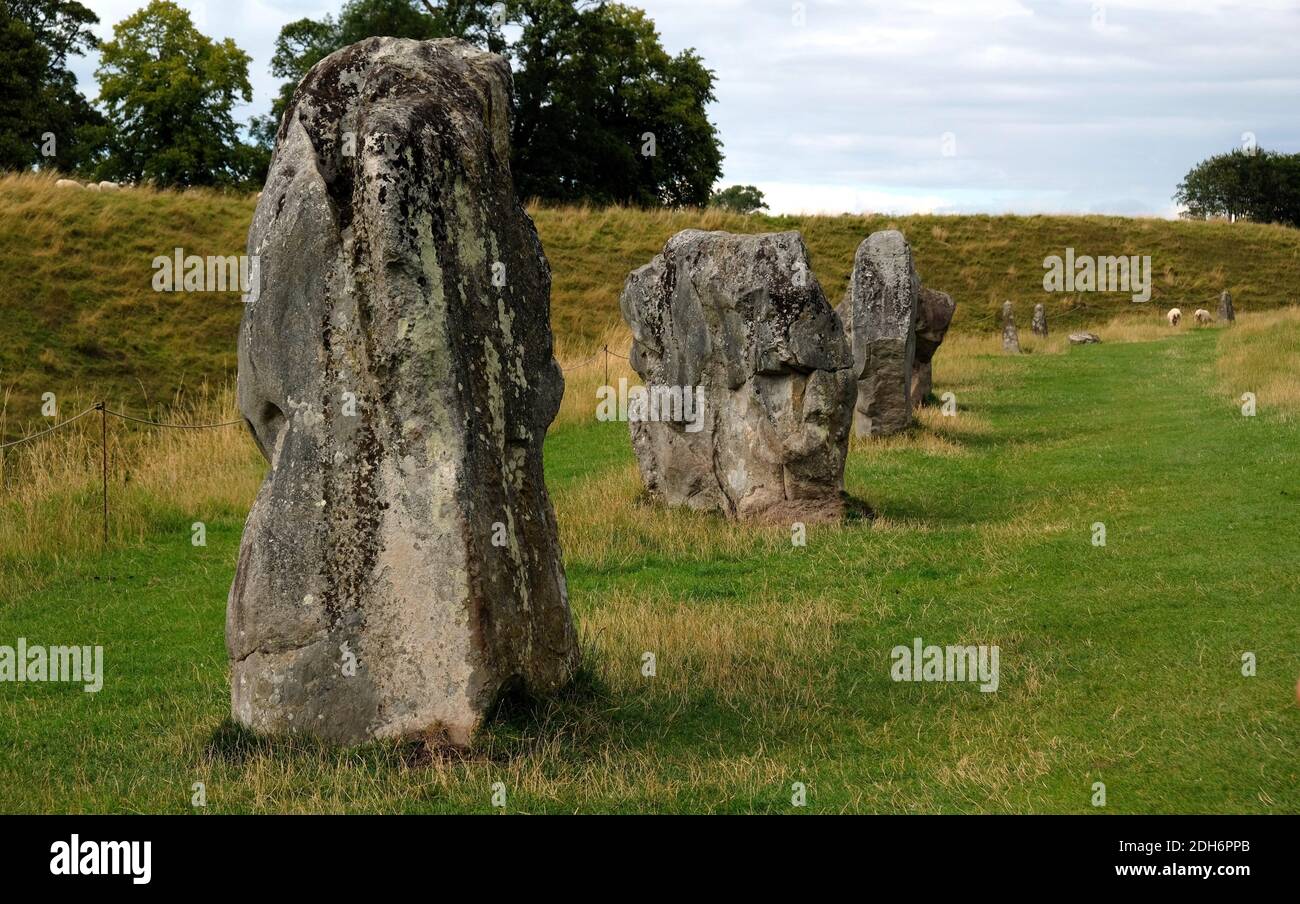 Beeindruckende stehende Steine aus dem historischen Kreis in Avebury Wiltshire. Schafe können zwischen den massiven Felsen grasen gesehen werden. Stockfoto