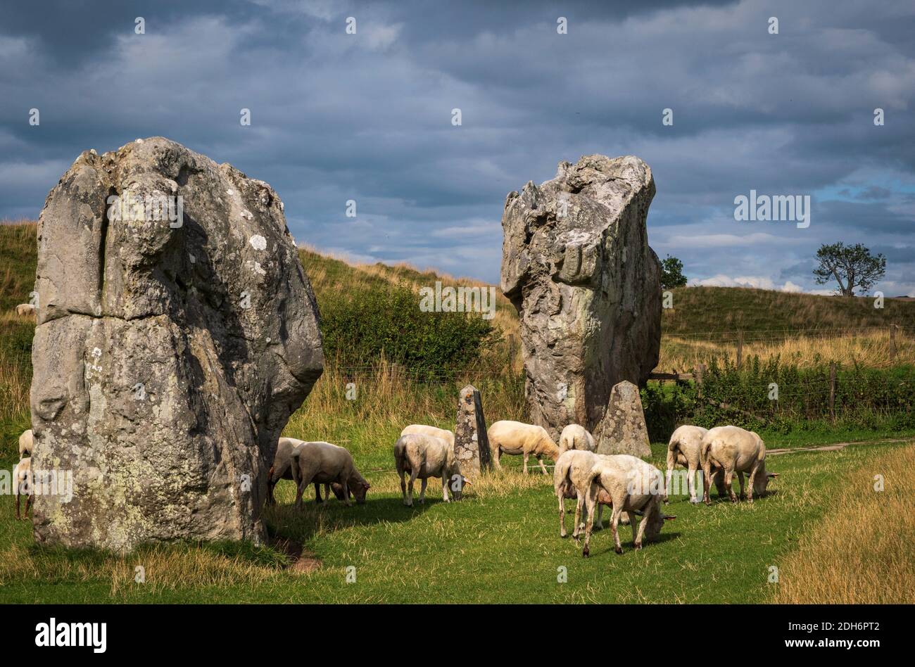 Beeindruckende stehende Steine aus dem historischen Kreis in Avebury Wiltshire. Schafe können zwischen den massiven Felsen grasen gesehen werden. Stockfoto