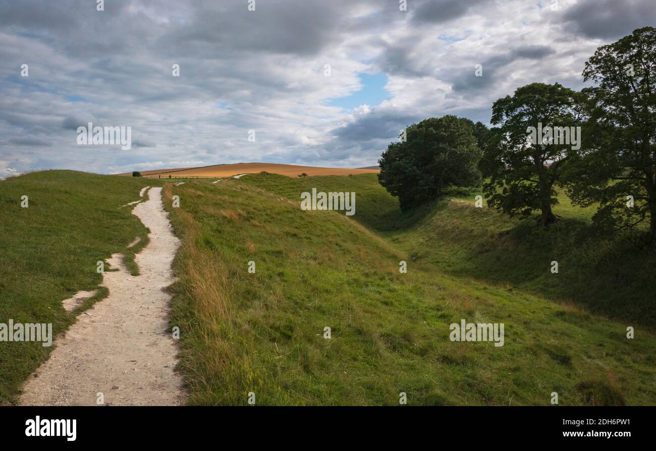 Kühe grasen in der Nähe von Prehistoric Standing Stones in Avebury in Wiltshire England Stockfoto