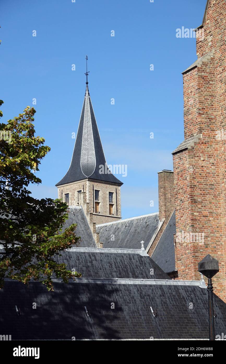 Turm der Abtei in Middelburg Stockfoto