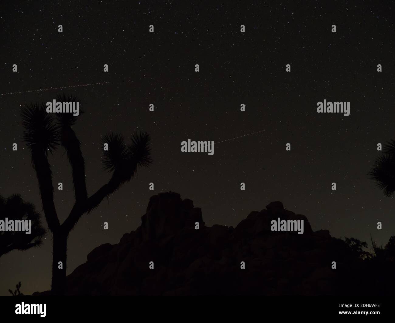 Erstaunliche Sterne am Nachthimmel im Joshua Tree National Park, Kalifornien, USA Stockfoto