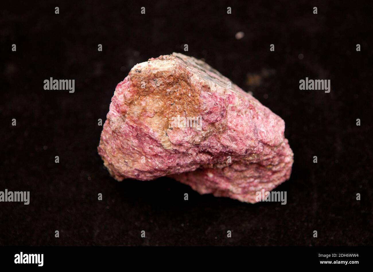 Eudialyte-Mineralprobe auf schwarz Stockfoto