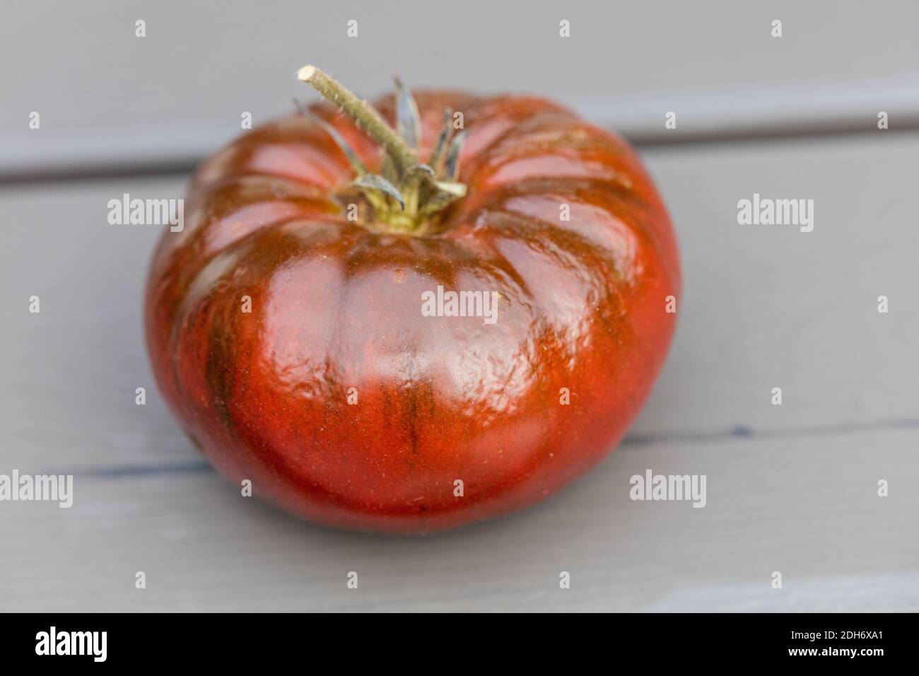 „Marmande“-Tomate, Tomate (Solanum lycopersicum) Stockfoto