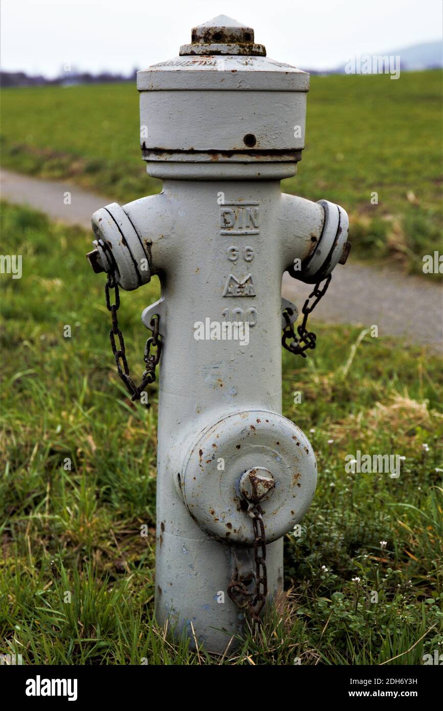 Roter Hydrant im Park Stockfoto