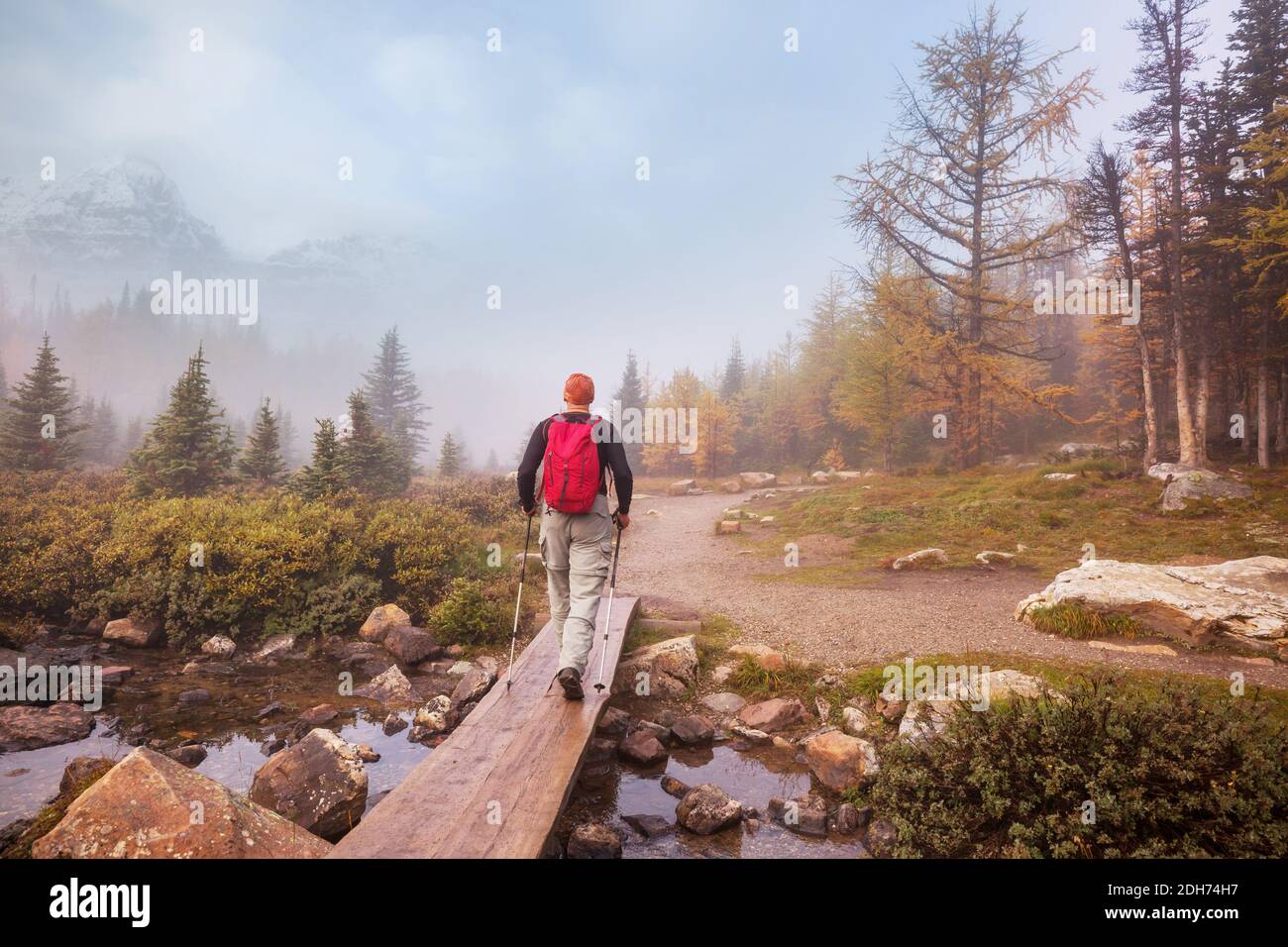 Herbst in Kanada Stockfoto