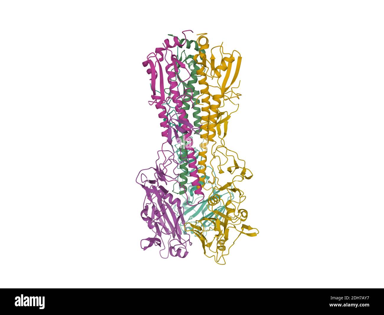 Influenza virus hemagglutinin, 3D cartoon model isolated, white