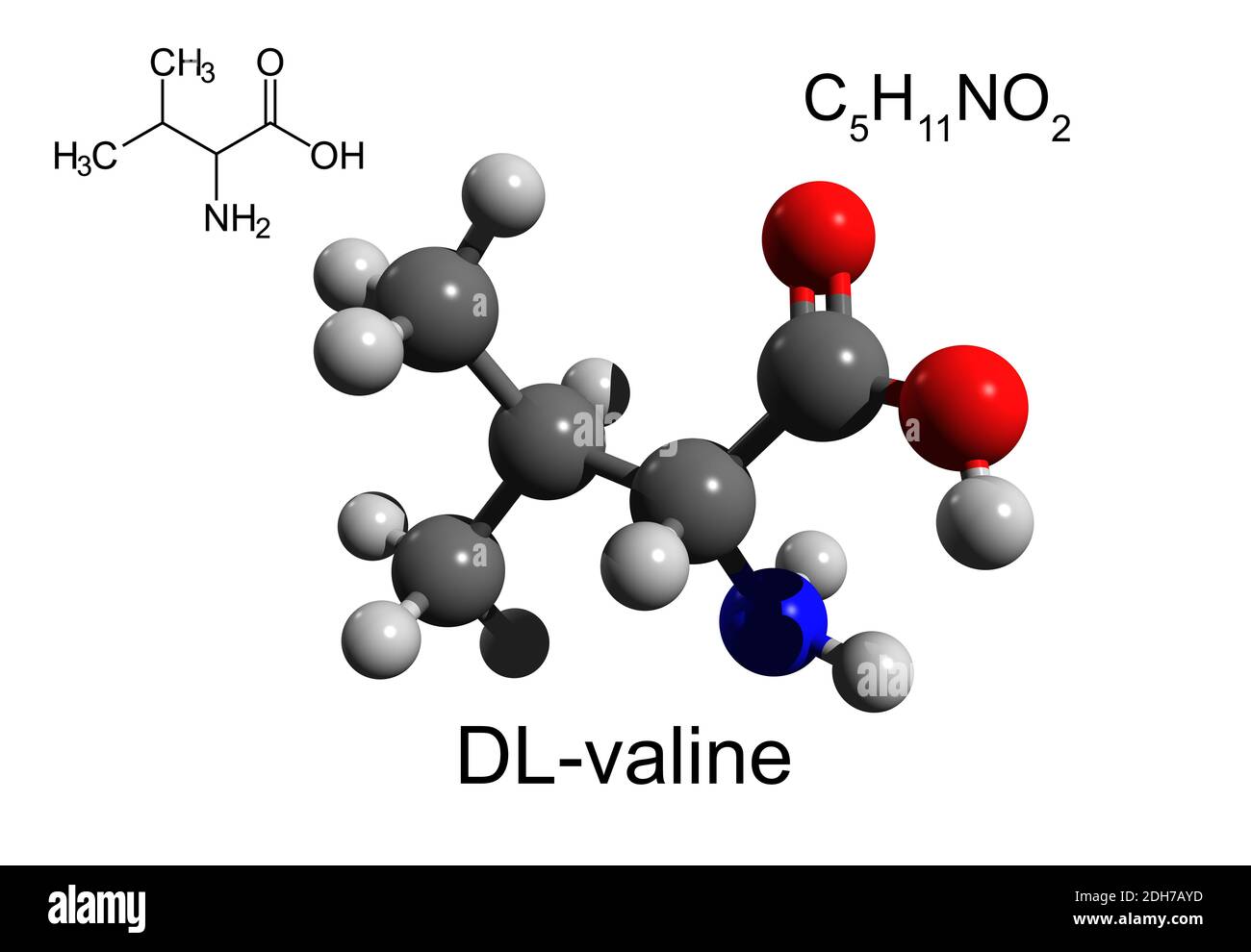 Chemische Formel, Strukturformel und 3D-Ball-and-Stick-Modell von DL-Valin, einer essentiellen Aminosäure, weißer Hintergrund Stockfoto