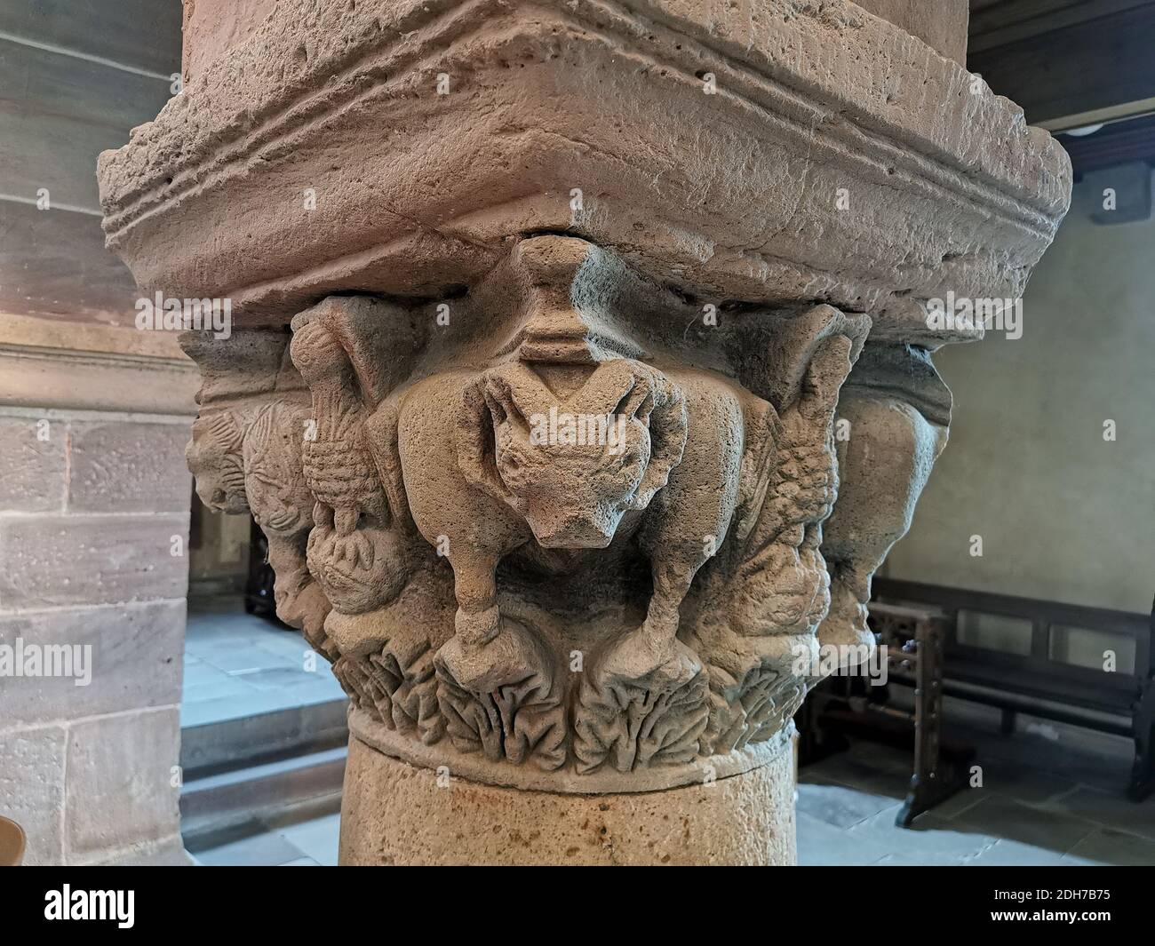 Innen, Pfarrkirche St. Johannes der Täufer und Cecilia, Stiftskirche Rasdorf, Kreis Fulda, Hessen, Deutschland / Innenraum, Pfarrkirche S Stockfoto