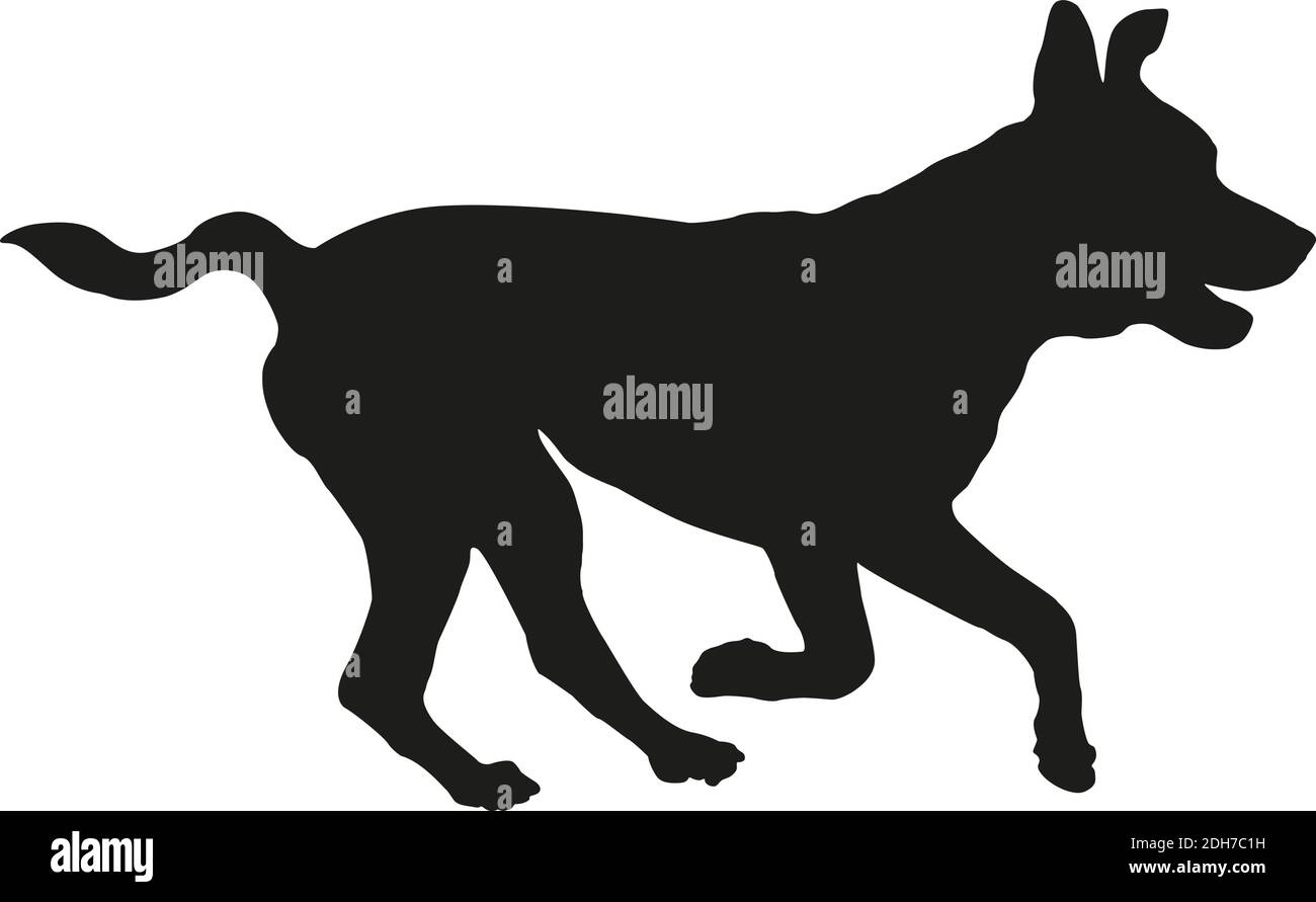 Schwarze Hundehüffelhouette. Running american Pit Bull Terrier Welpe. Isoliert auf weißem Hintergrund. Vektorgrafik. Stock Vektor
