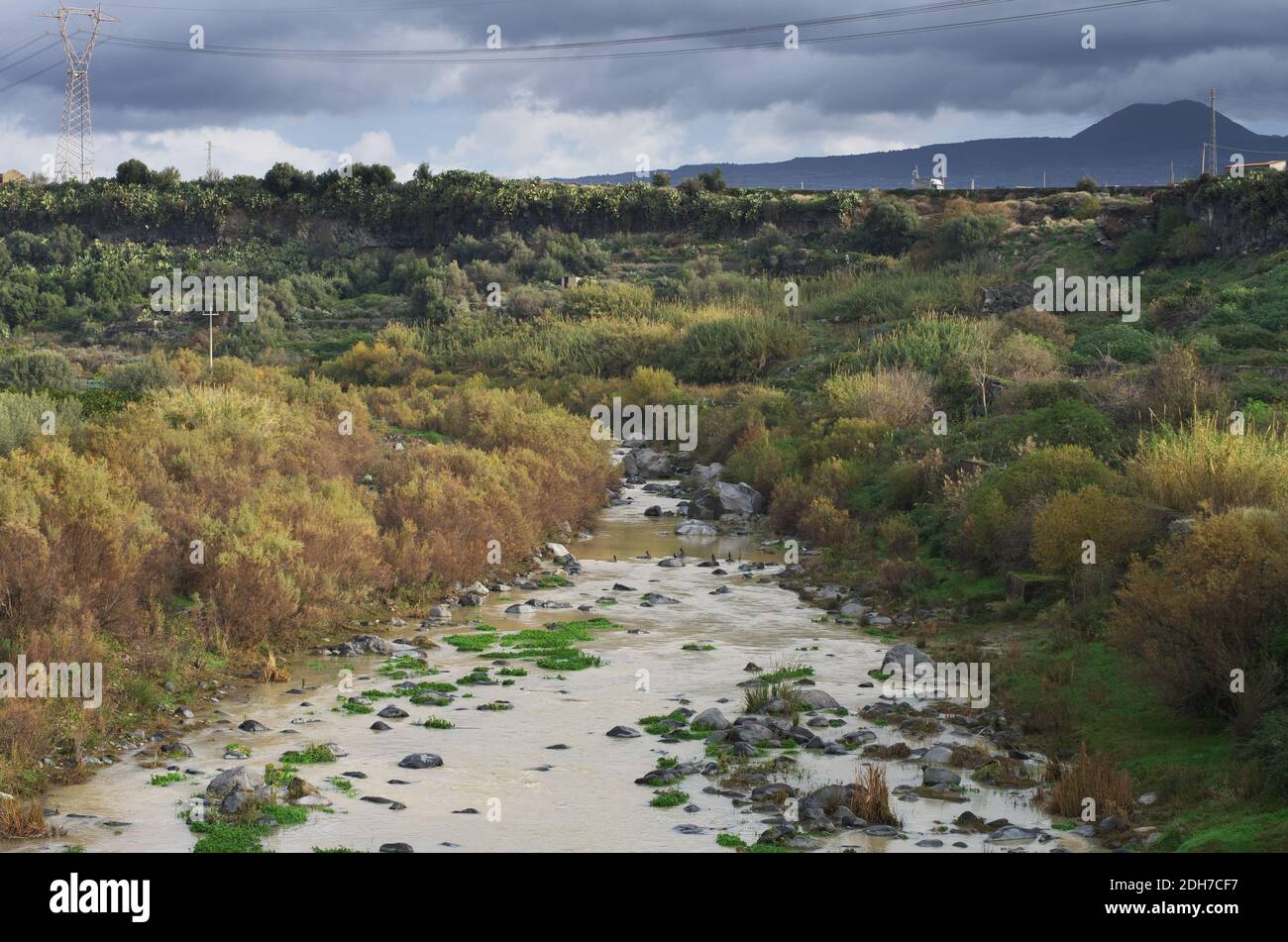 Simeto Fluss von Sizilien Wasser fließt in eine Schlucht von Vulkanisches Gestein gefüllt mit Tamarisken und üppiger Vegetation Stockfoto