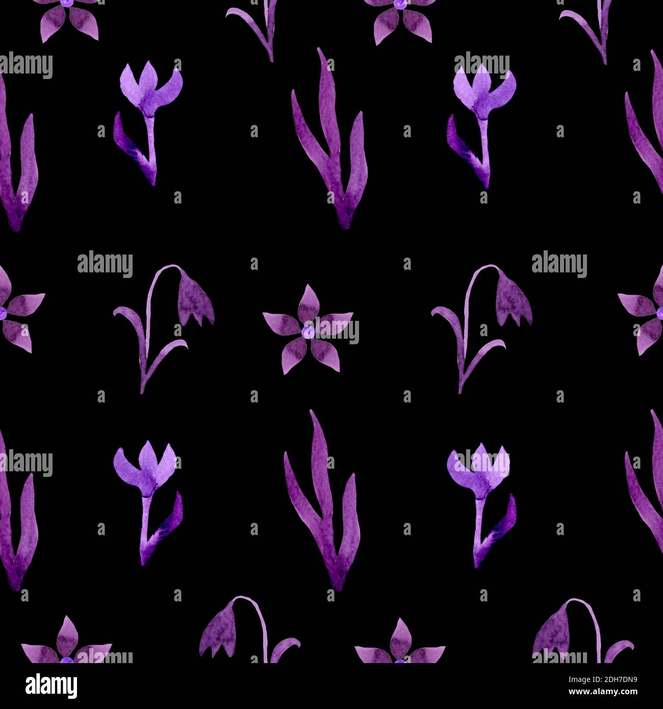 Muster Flieder Blumen auf einem schwarzen Hintergrund Aquarell Stockfoto