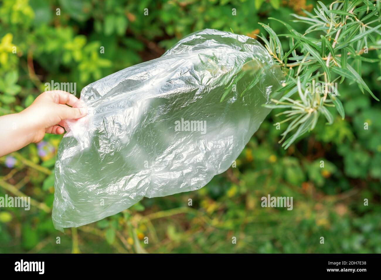 Die Hand des Kindes entfernt die Plastiktüte von einem Ast in Der Park Stockfoto