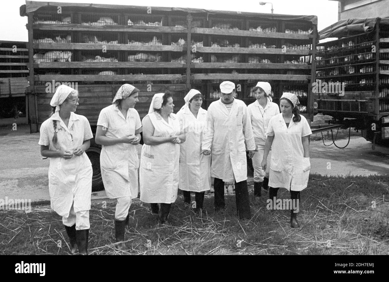 30. November 1983, Sachsen, Mockreihna Eine Brigade vor ankommenden
