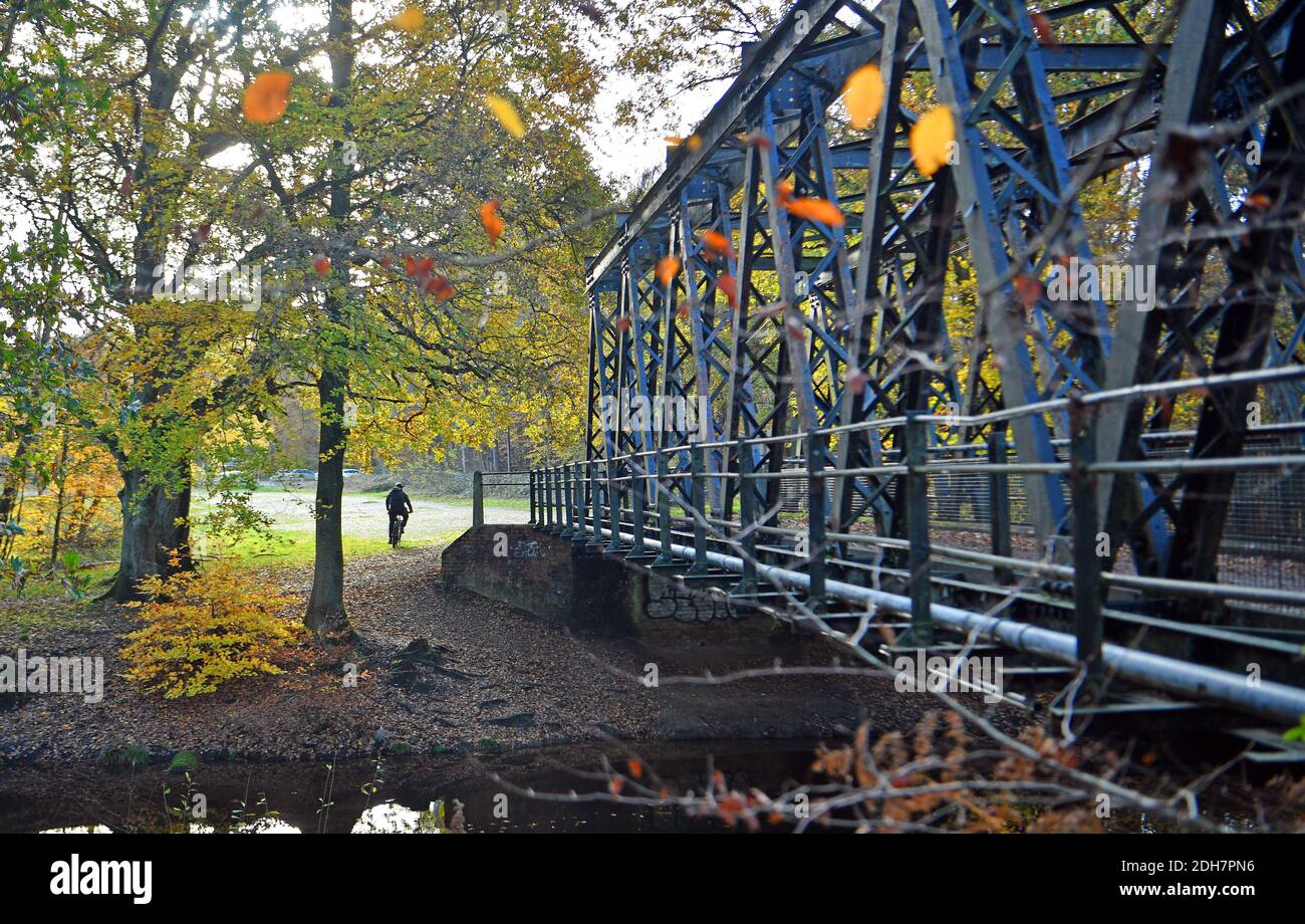 Fotos für eine Funktion auf Wellesley Woodland, Aldershot - Herbstwochenende Spaziergänge Feature. Brücke über den Basingstoke Kanal. Stockfoto