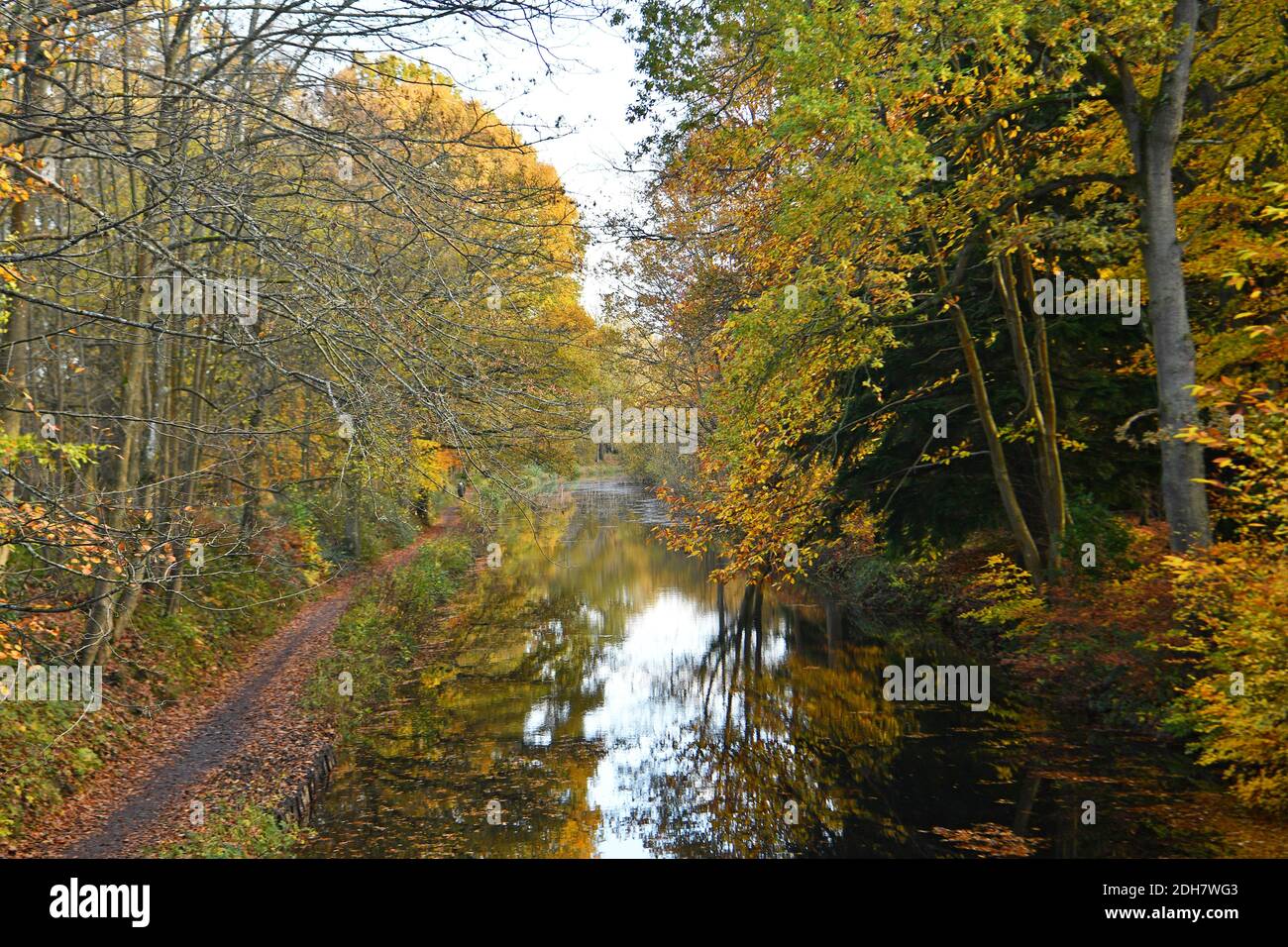 Fotos für eine Funktion auf Wellesley Woodland, Aldershot - Herbstwochenende Spaziergänge Feature. Basingstoke Canal. Stockfoto