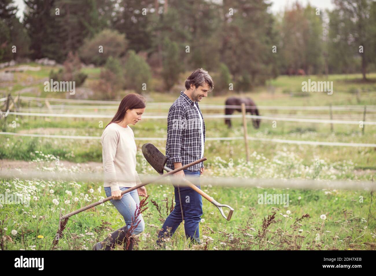 Seitenansicht des mittleren Erwachsenen Paar zu Fuß in Bio-Bauernhof Stockfoto