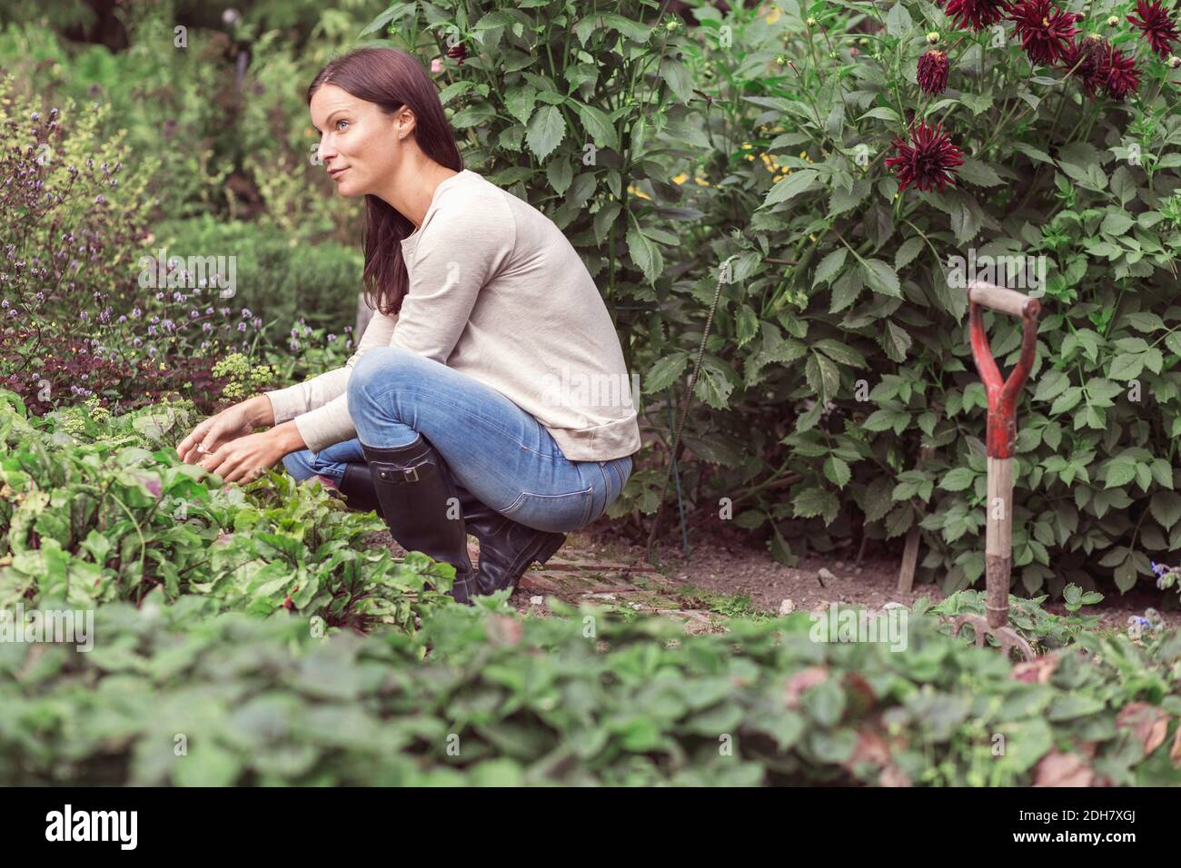 Volle Länge Seitenansicht der nachdenklichen Frau arbeiten in Bio Bauernhof Stockfoto