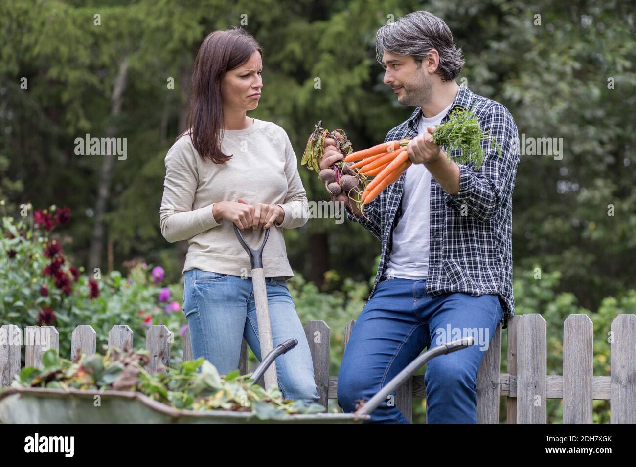 Verwirrt mittleren Erwachsenen Paar Wahl zwischen Karotten und Rüben bei Bio-Bauernhof Stockfoto