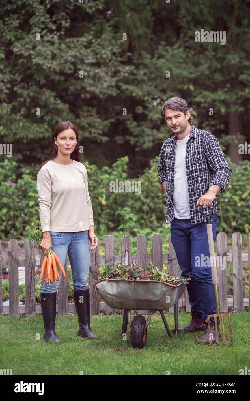 In voller Länge Porträt von mittleren Erwachsenen Paar mit Bund Karotten stehen an der Schubkarre auf dem Bio-Bauernhof Stockfoto