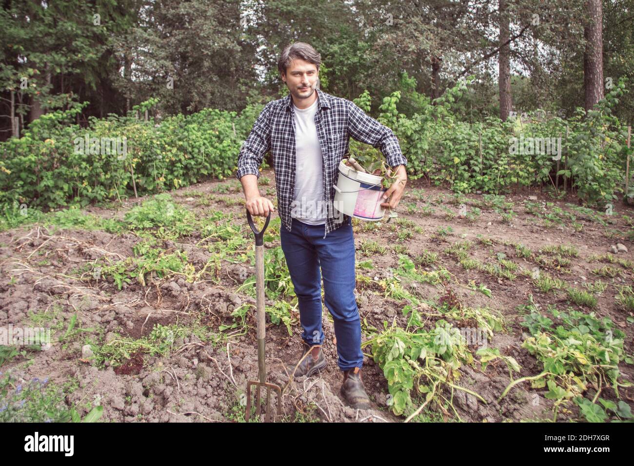 In voller Länge Porträt von selbstbewussten Mann mit Gartengabel und Eimer auf Bio-Bauernhof Stockfoto