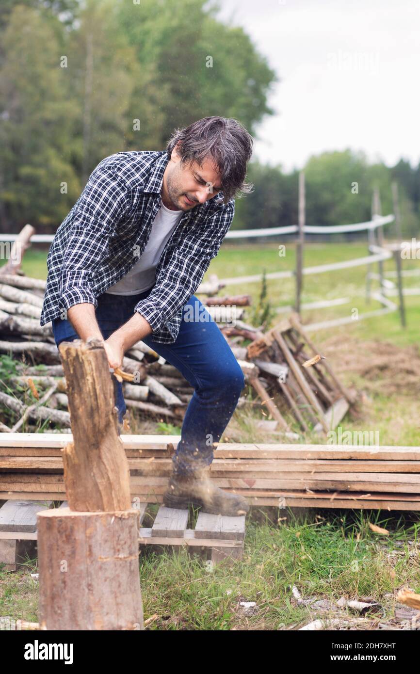 Mittelalter Mann, der auf dem Hof Brennholz schneidet Stockfoto
