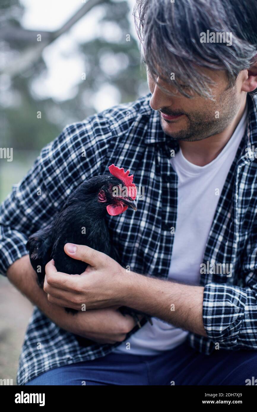 Mann, der Henne auf der Geflügelfarm trägt Stockfoto