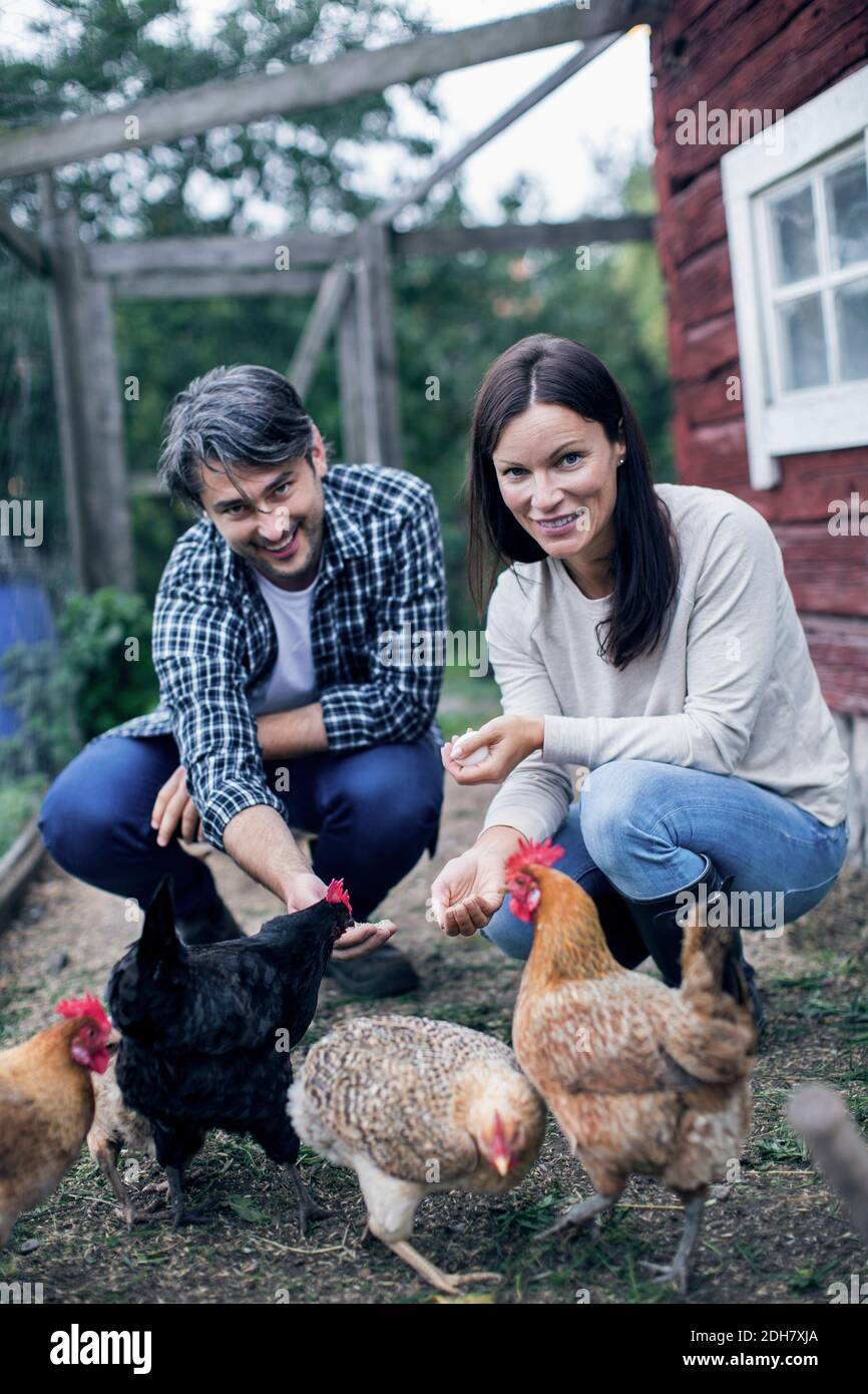 Porträt eines glücklichen Paares, das Hühner auf der Geflügelfarm füttert Stockfoto