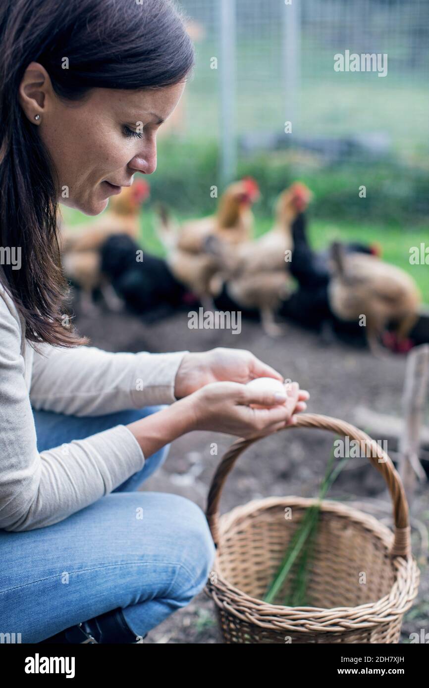 Seitenansicht der Frau, die Eier auf der Geflügelfarm hält Stockfoto