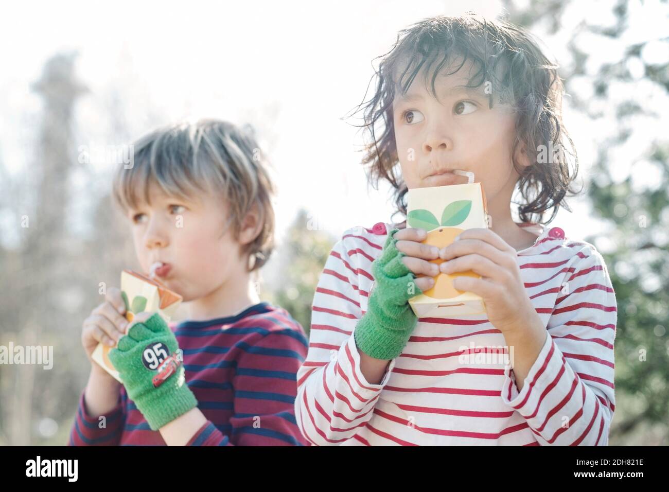 Jungen trinken aus Saftboxen im Hof an sonnigen Tag Stockfoto