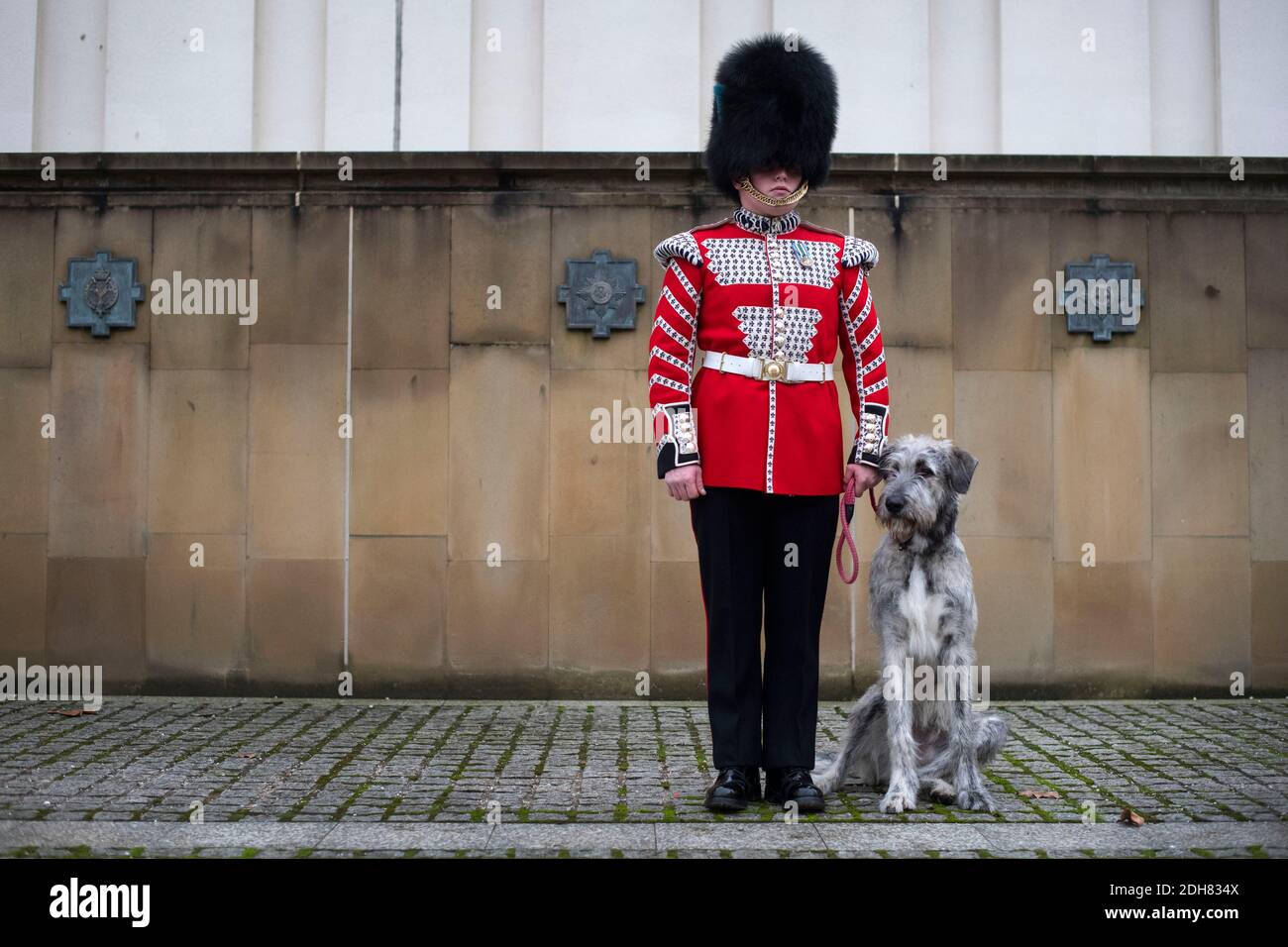 Das neue Maskottchen der irischen Garde, ein irischer Wolfshund namens Turlough Mor, mit seinem neuen Handler, Drummer Adam Walsh vom 1. Bataillon Irish Guards, als er in Wellington Barracks in London ankommt. Stockfoto