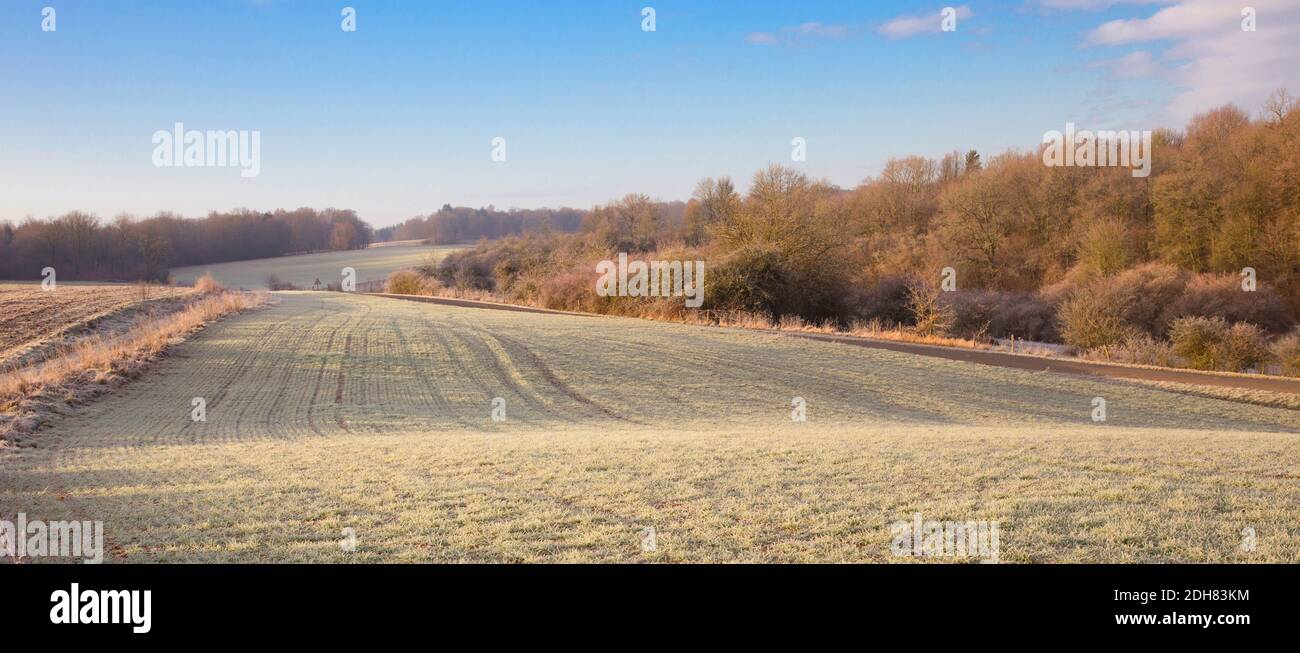 Feldlandschaft mit Raureif, Frankreich, Verdun Stockfoto