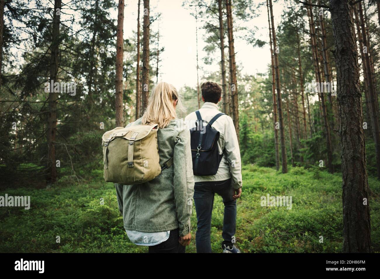 Rückansicht eines Paares mit Rucksäcken beim Spaziergang durch den Wald Stockfoto